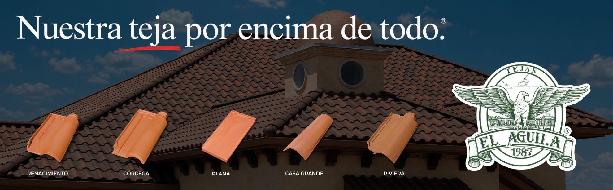 Contáctanos