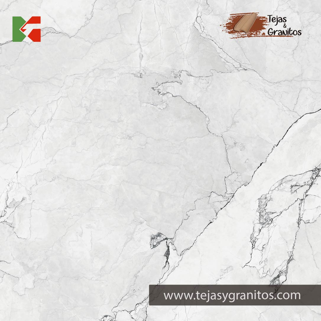 Porcelanato Camus Bianco