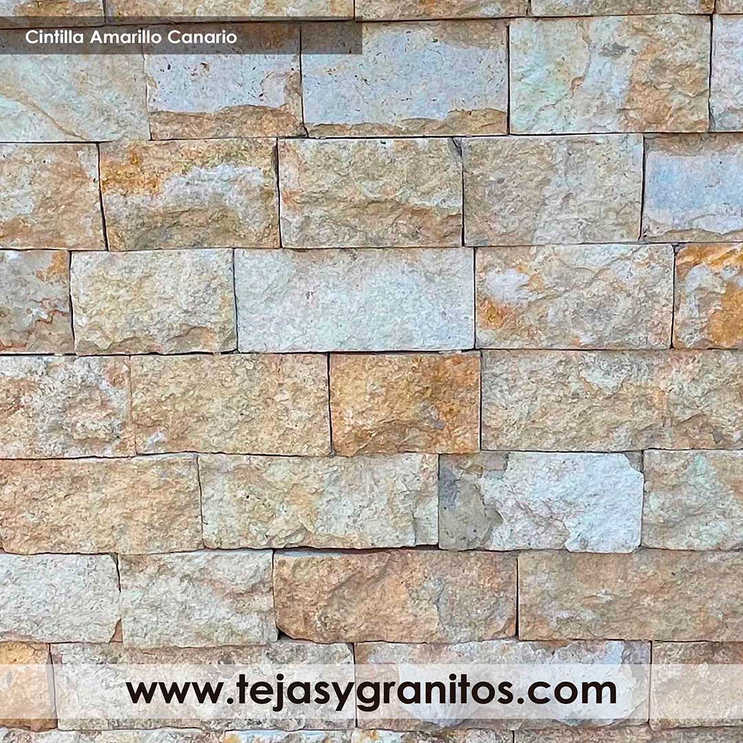 Cintilla Amarilla Canario