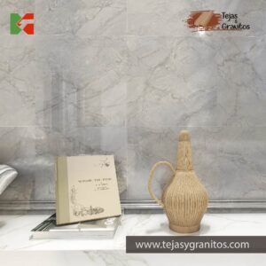 Elysian60x60-Tejasygranitos