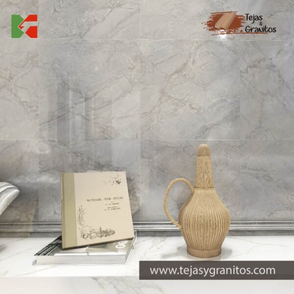 Elysian60x60-Tejasygranitos