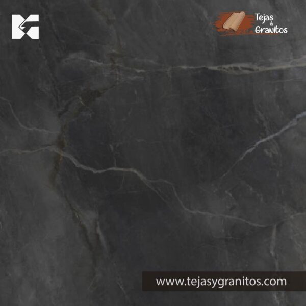RigaGrisObscuro-Tejasygranitos_60x60