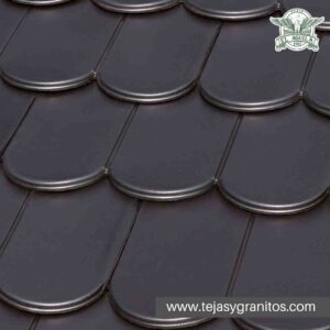 Tejafrancesalisa Negra completa