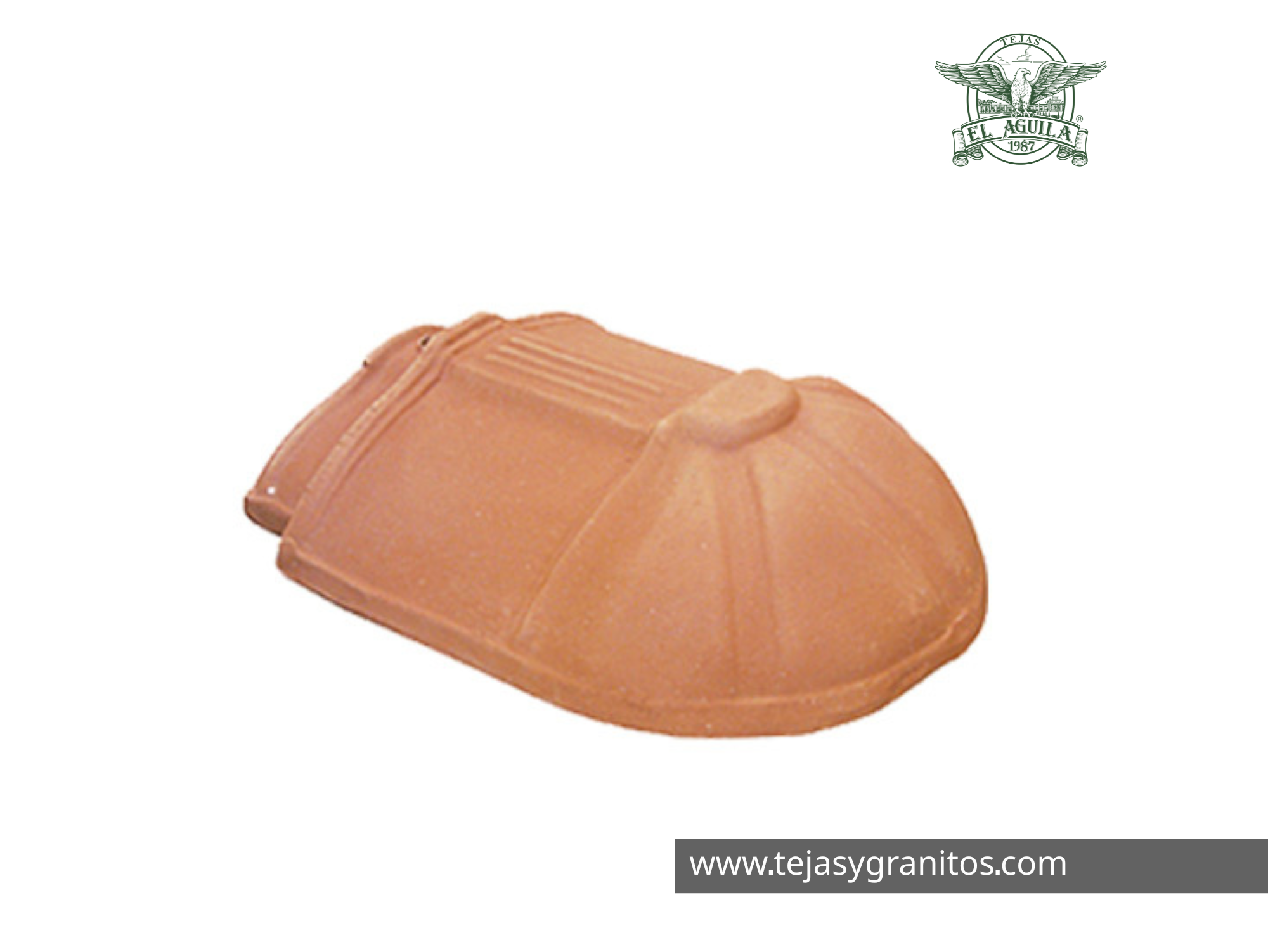 Remate Final Renacimiento