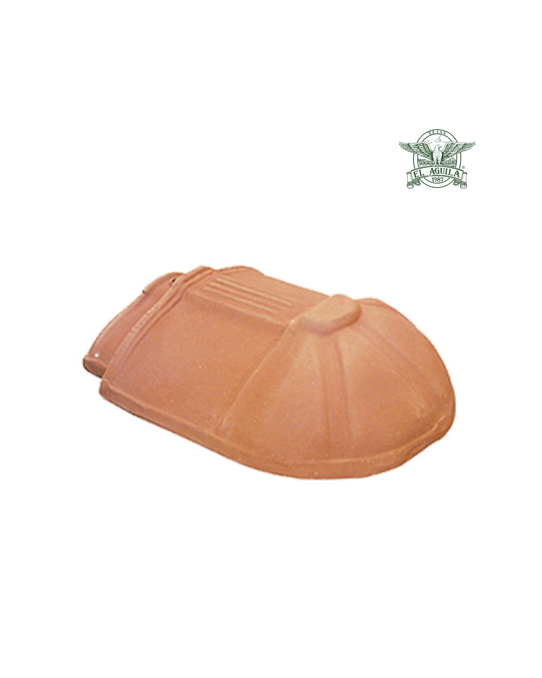 Remate Final Renacimiento